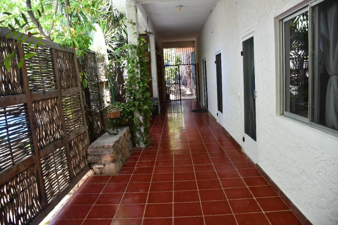 La Playita Hostal San José del Cabo Kültér fotó